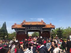-曹州牡丹园
