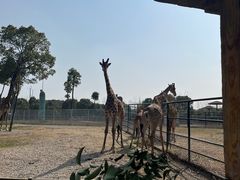 -常州淹城野生动物世界