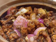 -凤兴鸡煲(宝安海雅店)