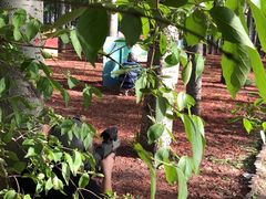 -朝阳公园真人CS