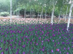 -长春公园(普阳街道)