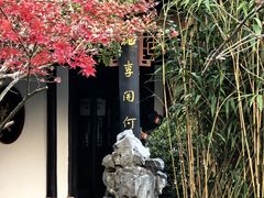 -梅园