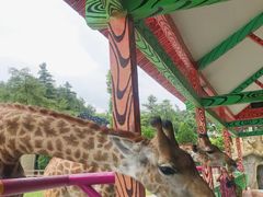 -贵州森林野生动物园