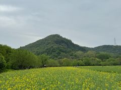 -八卦田遗址公园