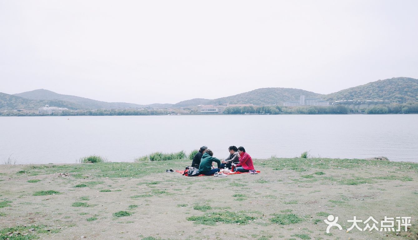 春风又绿江南岸，来蠡湖边走走吧！
