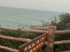 -杨梅坑
