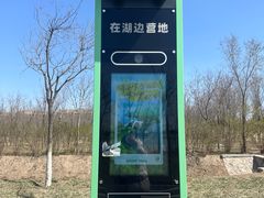 -天津东丽湖风景区