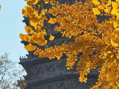 -玲珑塔公园