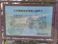 -北京鹫峰国家森林公园