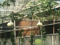 -海上田园