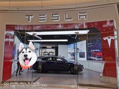 -TESLA 特斯拉(郑州正弘城体验店)