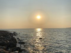 -苏州东太湖生态园