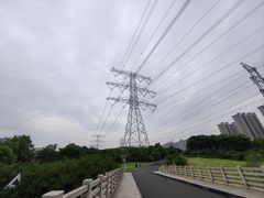 -九里河湿地公园