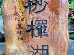 -深圳仙湖植物园