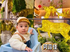 -阿露佳·舌尖上的安吉菜