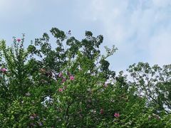 -元大都城垣遗址公园