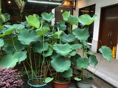 -聚福宝合苑食府(南头镇店)