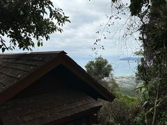 -三亚亚龙湾人间天堂鸟巢度假村