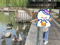 -河北村民俗体验园