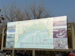 -合肥滨湖国家森林公园
