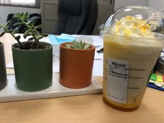 -星巴克(杭州银泰城西一店)