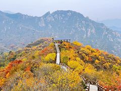 -大岭沟猕猴桃谷风景区