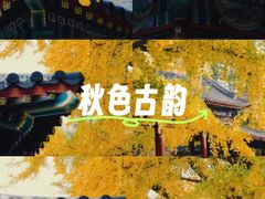 -回龙观体育文化公园