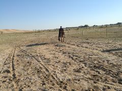 -亿利库布其七星湖沙漠生态旅游区