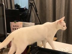 -iF摄影•全家福•证件照•形象照(南山店)