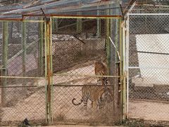 -青藏高原野生动物园