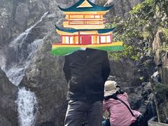 -海南霸王岭国家森林公园