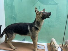 -国家自然博物馆