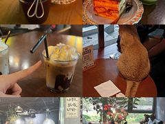 -咖法森林·咖啡  酒吧(天河店)