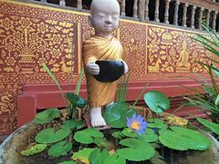 -西双版纳傣族园-曼春满佛寺