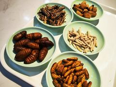 -上海财经大学-新食堂