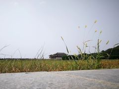 -汉景帝阳陵博物院