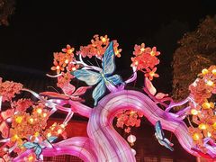 -横店影视城梦幻谷园区