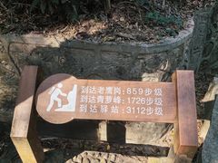 -滴水岩森林公园