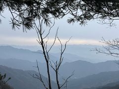 -王顺山国家森林公园