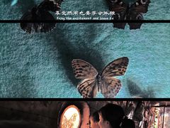 -萌宠奇缘