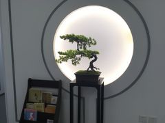 -席仁堂推拿按摩脊柱调理(世纪科贸大厦店)
