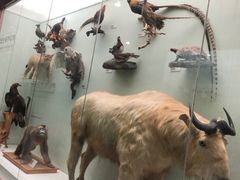 -国家自然博物馆