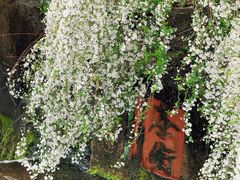 -中国茶叶博物馆(双峰馆区)