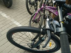 -道路口单车爱瓦士dahon大行