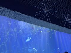-西安华夏文旅水世界