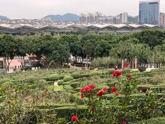 -紫马岭公园