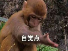-成都动物园