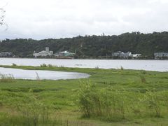 -洱海月湿地公园