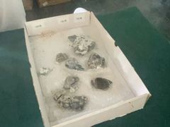 -房山世界地质公园博物馆