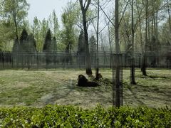 -秦皇岛野生动物园